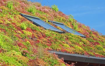 Grafham living roof systems