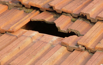 roof repair Grafham